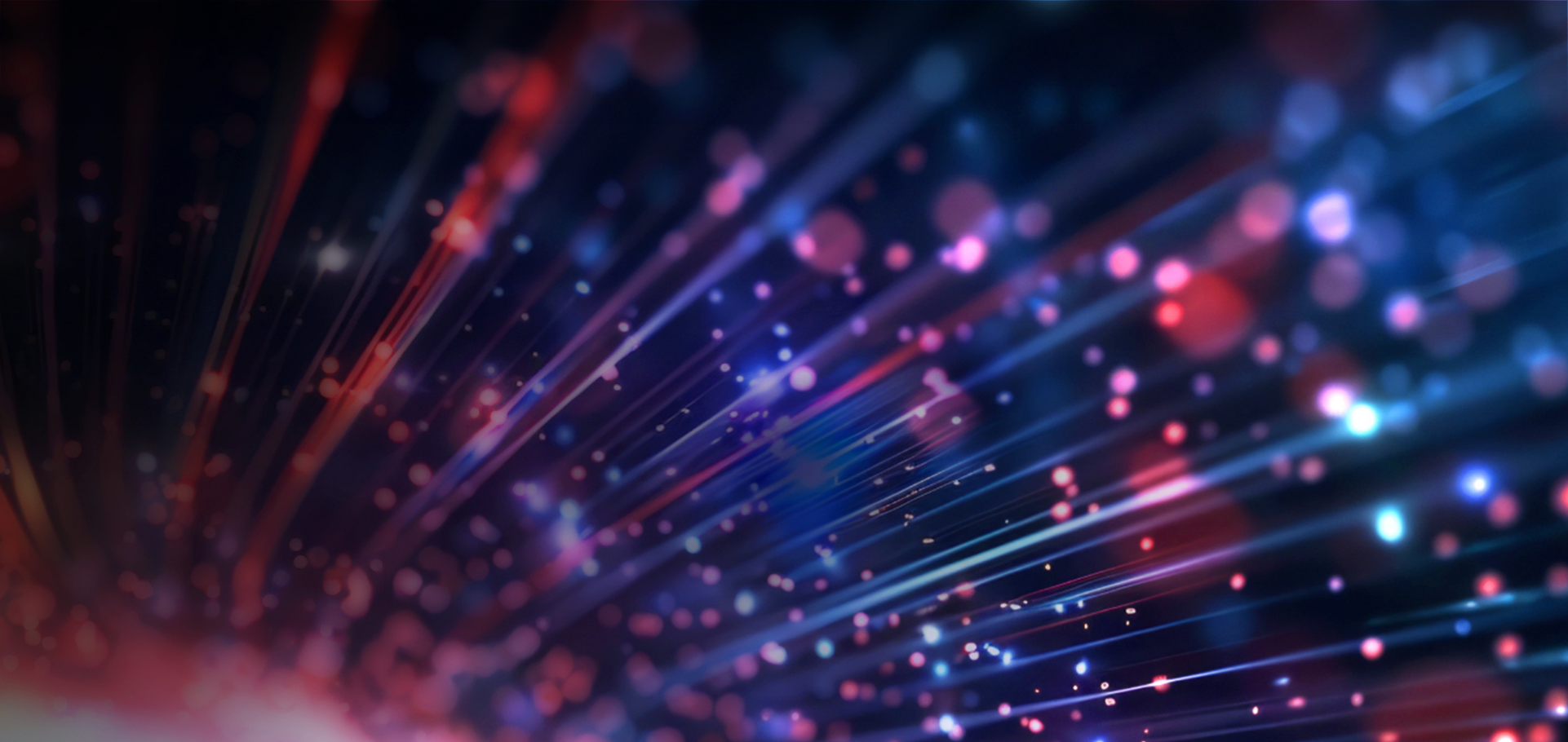 Retour sur notre édition 2025!