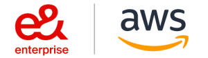 AWS e& Enterprise